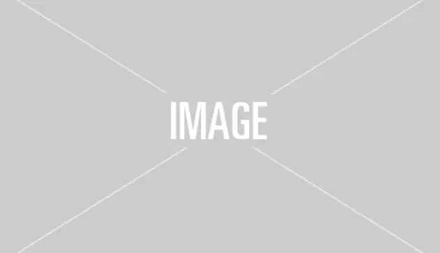 Legal and Intellectual Property Assistance