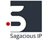 Sagacious