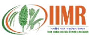 iimr