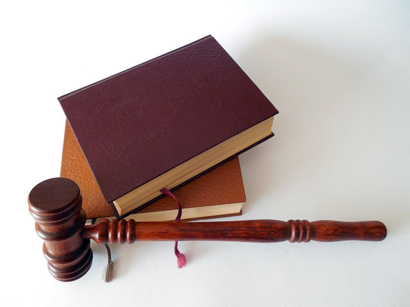 Why Studying Law is  important